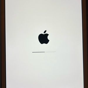 Mini White iPad Generation 2. 16G Wi-Fi and Cellular capabilities.